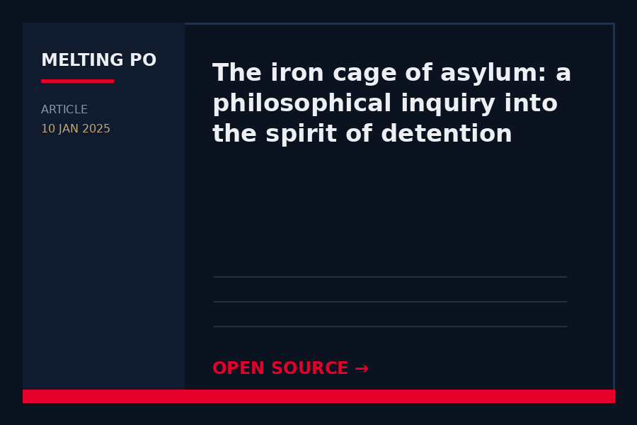 Article preview: analysis of his detention case